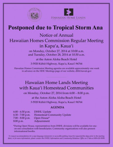141027-Kauai-Flyer