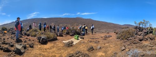 Hoʻi Nā Manu I Kaupakuhale marked the completion of a protective enclosure for burrowing ʻuaʻu and other native birds